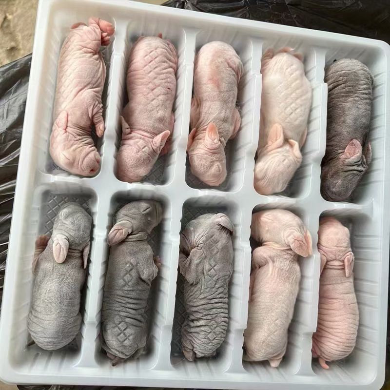 12001