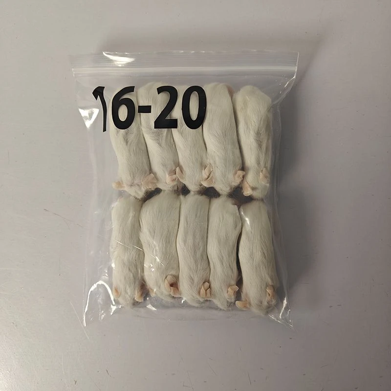 3001
